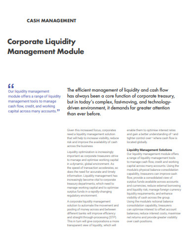 cash corporate liquidity management template