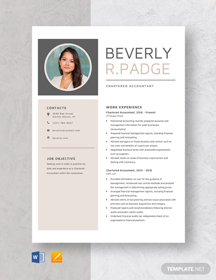 Chartered Accountant Resume Template - 7+ Free Word, PDF Documents Download