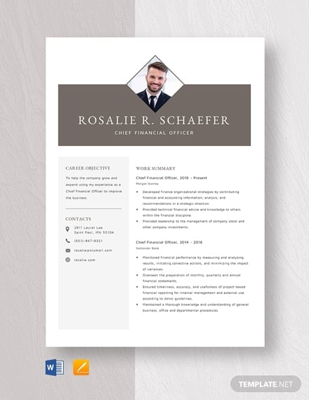 chief financial officer resume