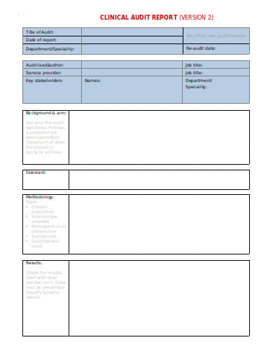 clinical-audit-report-form-format
