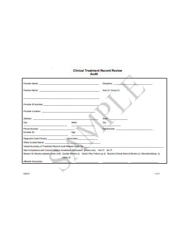 clinical-treatment-record-review-audit-form-template