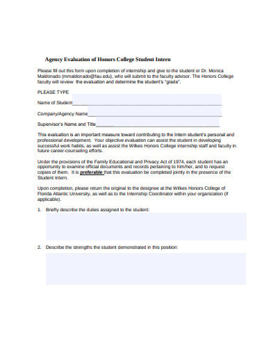 college-student-intern-agency-evaluation-template
