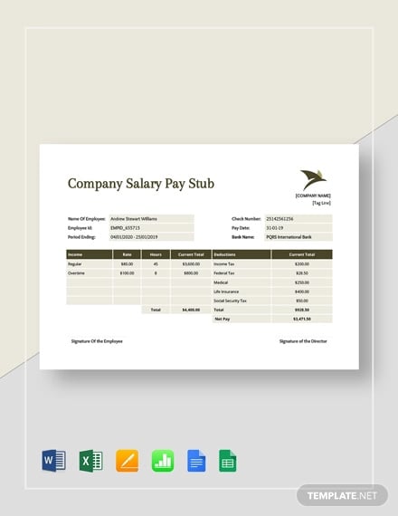 company salary pay stub template