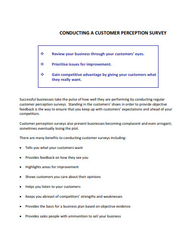 conducting customer perception survey