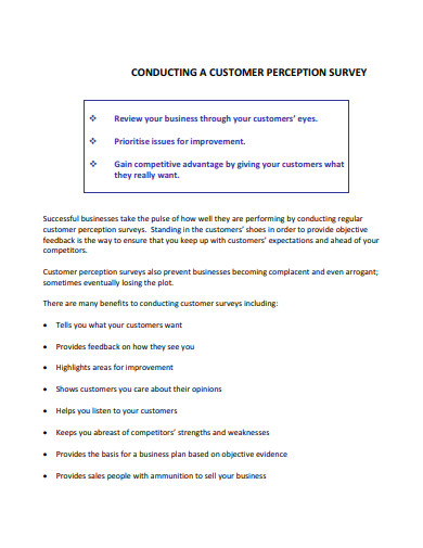 literature review on customer perception pdf