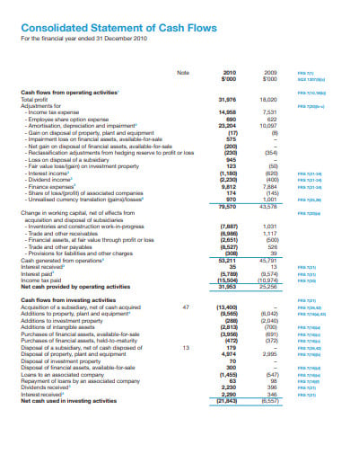 consolidated investment cash flow statement