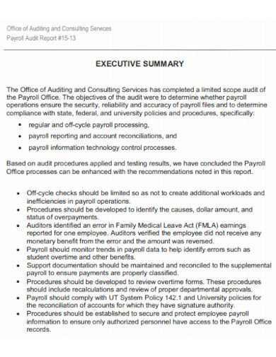 consulting services payroll audit report