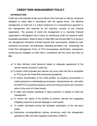 credit risk management policy template