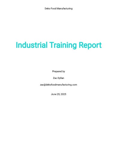 daily industrial training report template