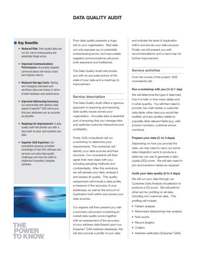 10 Data Audit Templates in PDF DOC