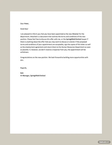 director appointment letter template