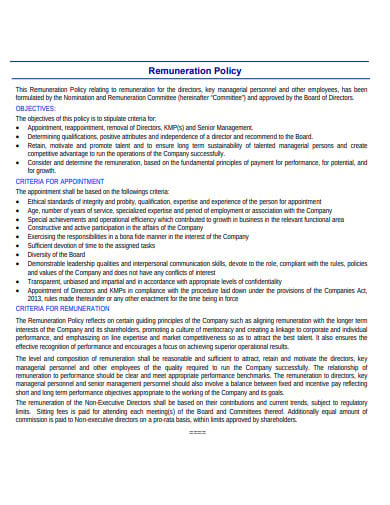 director remuneration policy