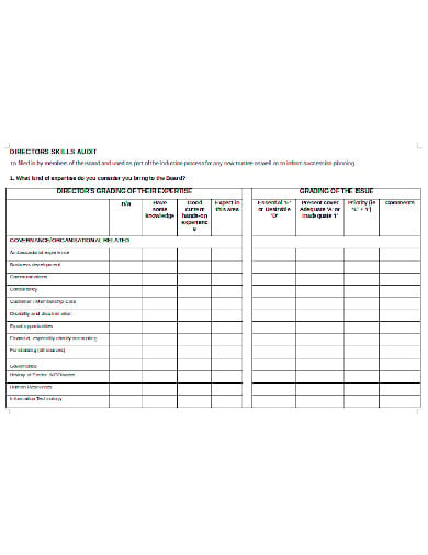 directors skills audit form