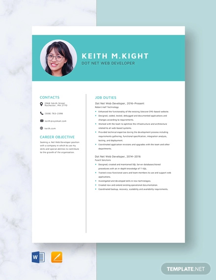 20+ Web Developer Resume Templates - DOC, PDF