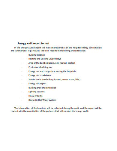 energy audit report format