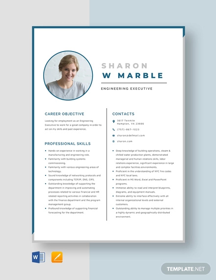 20+ Engineering Resume Templates - PDF, DOC | Free & Premium Templates