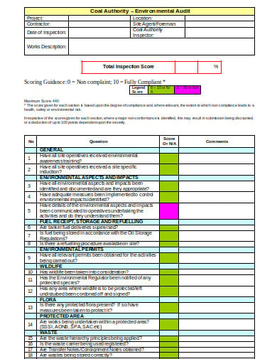 environment site audit sheet template