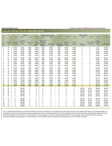 executive bonus plan template