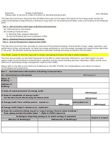 executive energy audit report template