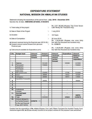expenditure statement template