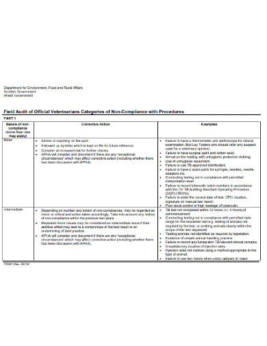 field audit process template