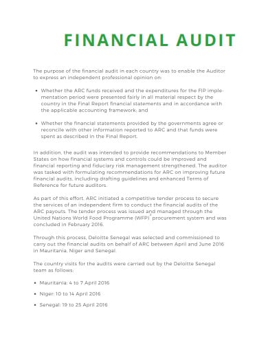 financial audit summary report
