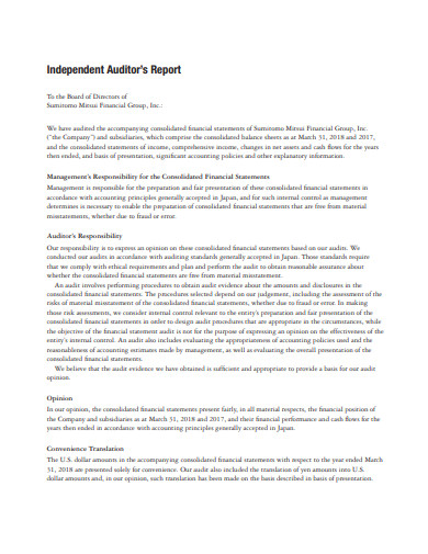 financial group independent auditor report
