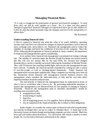 financial risk management template