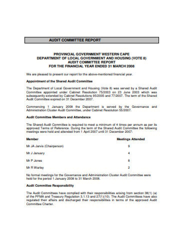 financial-year-audit-committee-report-template