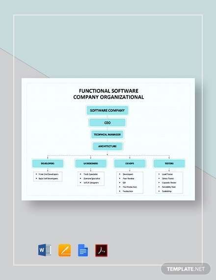 functional software company organizational chart template