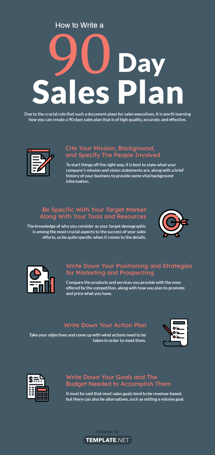 90 day business plan template for sales