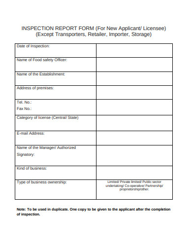 11+ Inspection Report Form Templates in DOC | PDF