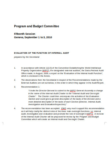 internal audit budget program