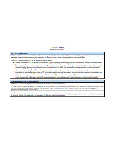 internal-audit-risk-assessment-criteria-template