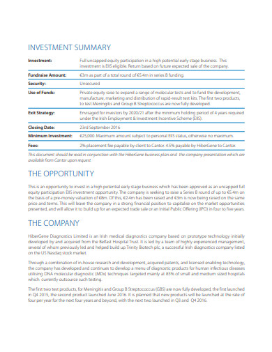 10-investment-opportunity-summary-templates-in-pdf-doc