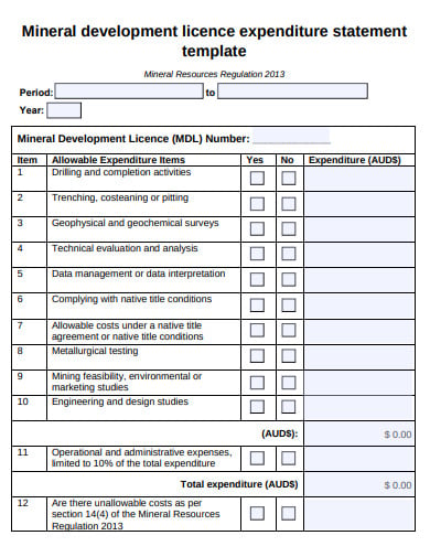 licence expenditure statement template