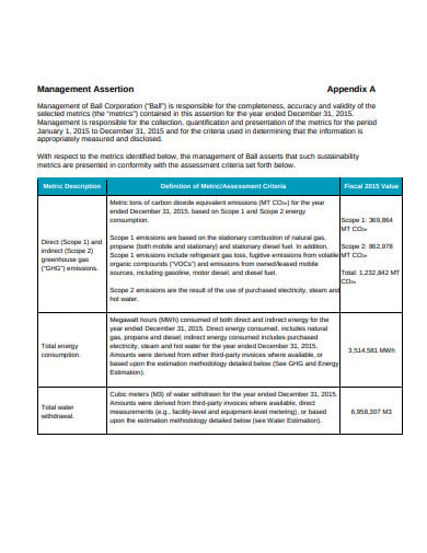 management-assertion-template-in-pdf