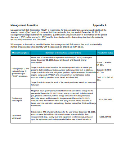 11-management-assertion-templates-in-doc-pdf