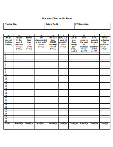 10 Medical Record Audit Form Templates In Pdf Free And Premium Templates 2810