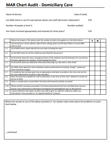 11+ Medication Audit Checklist Templates in PDF | DOC