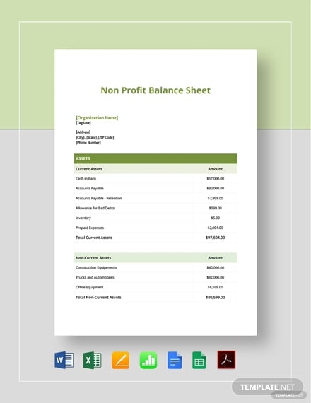 non profit balance sheet