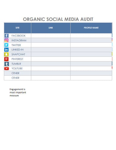 organic social media audit