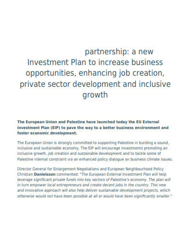 partnership business investment plan template