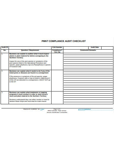 payment compliance audit checklist