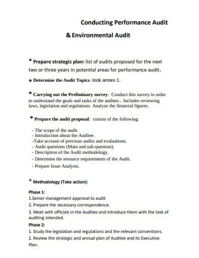 performance-audit-environmental-audit