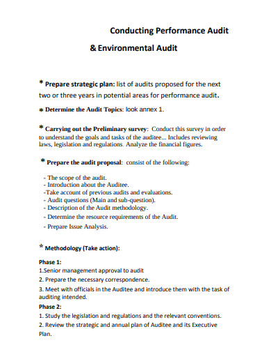 11+ Performance Audit Templates In Pdf 