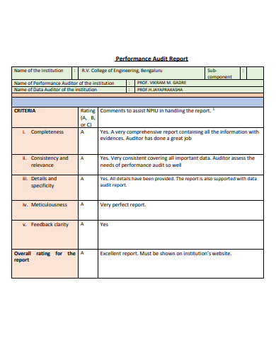 template-for-audit-report