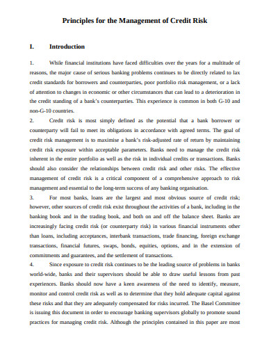 11+ Credit Risk Management Templates in PDF | DOC