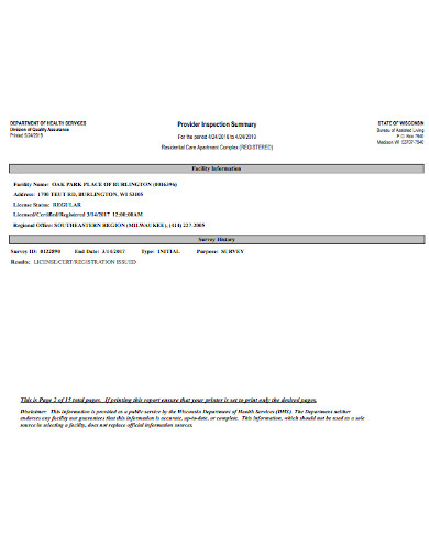 10+ Inspection Summary Templates in PDF | WORD