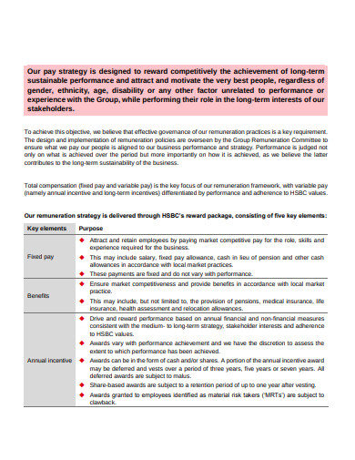 Remuneration Strategy Example